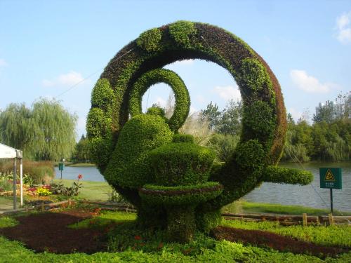 ֲ